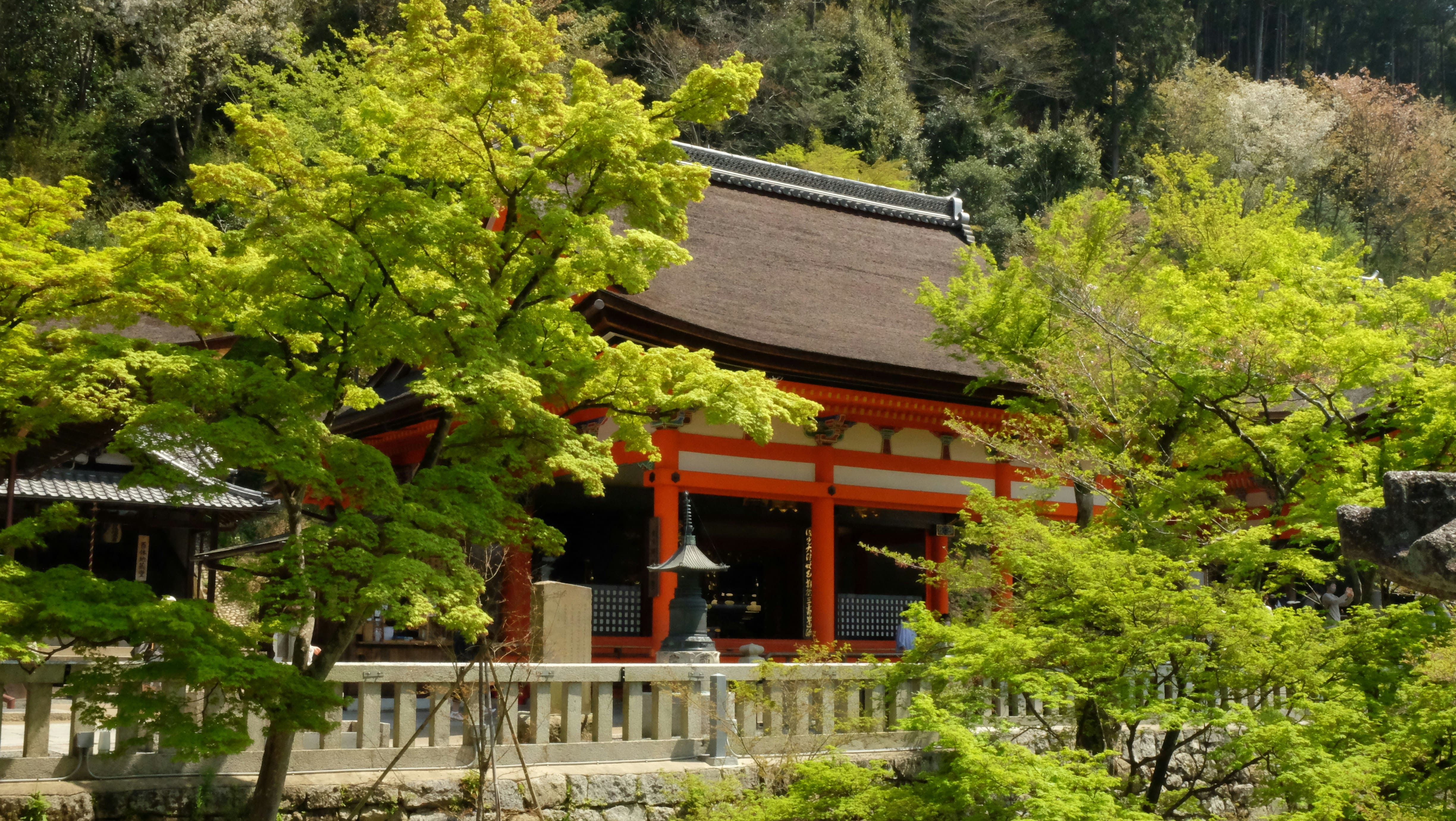 美しい生け花の作品